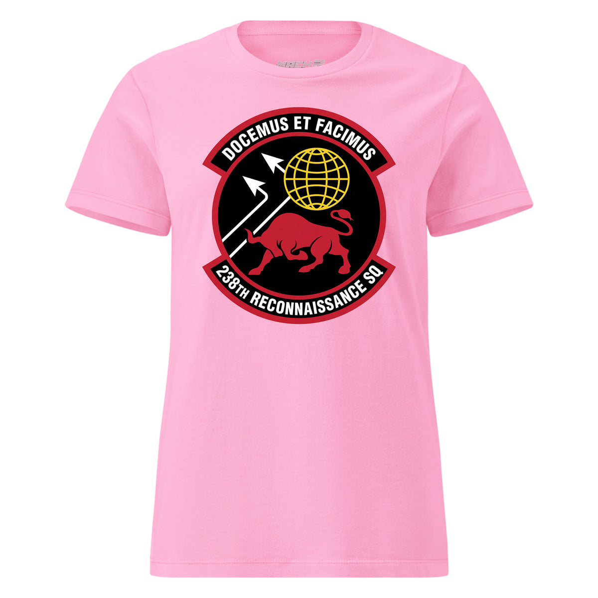 238th Reconnaissance Squadron — Pink