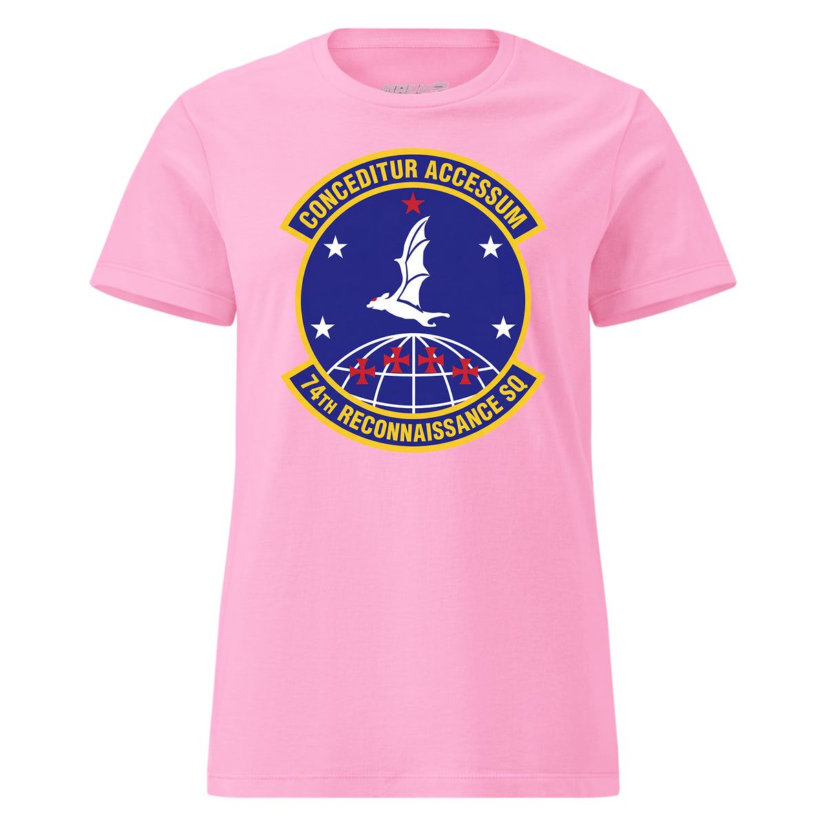 74th Reconnaissance Squadron — Pink