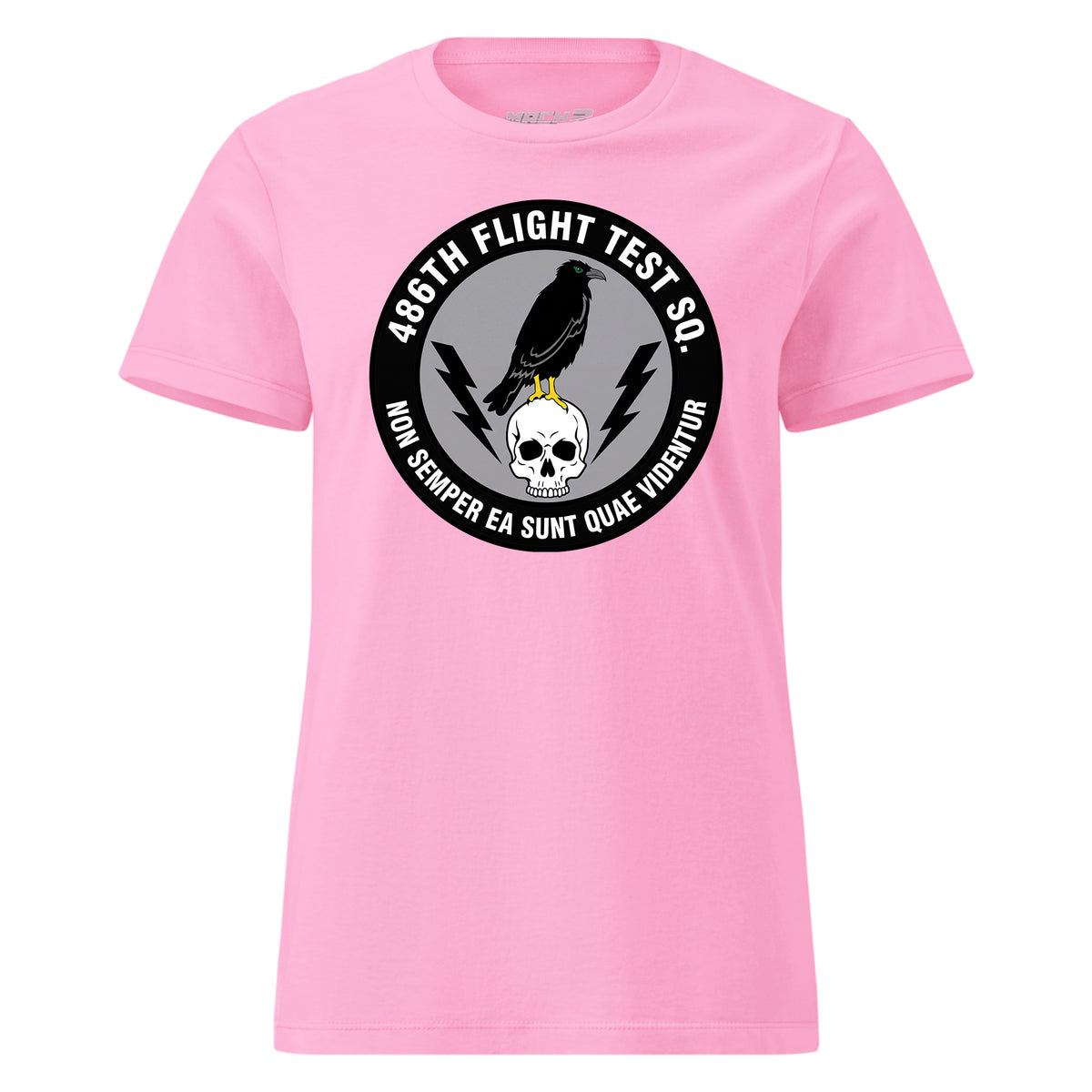 486th Flight Test Squadron — Pink