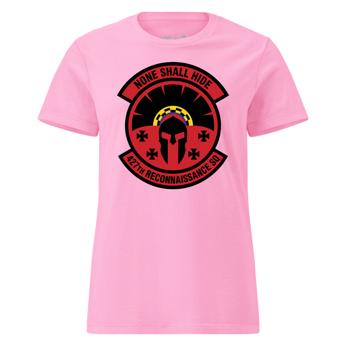 427th Reconnaissance Squadron — Pink