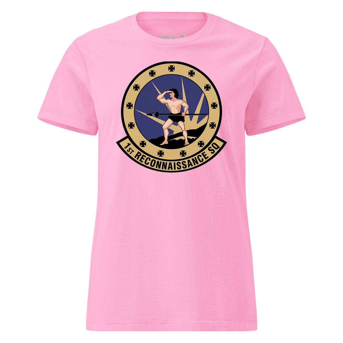 1st Reconnaissance Squadron — Pink