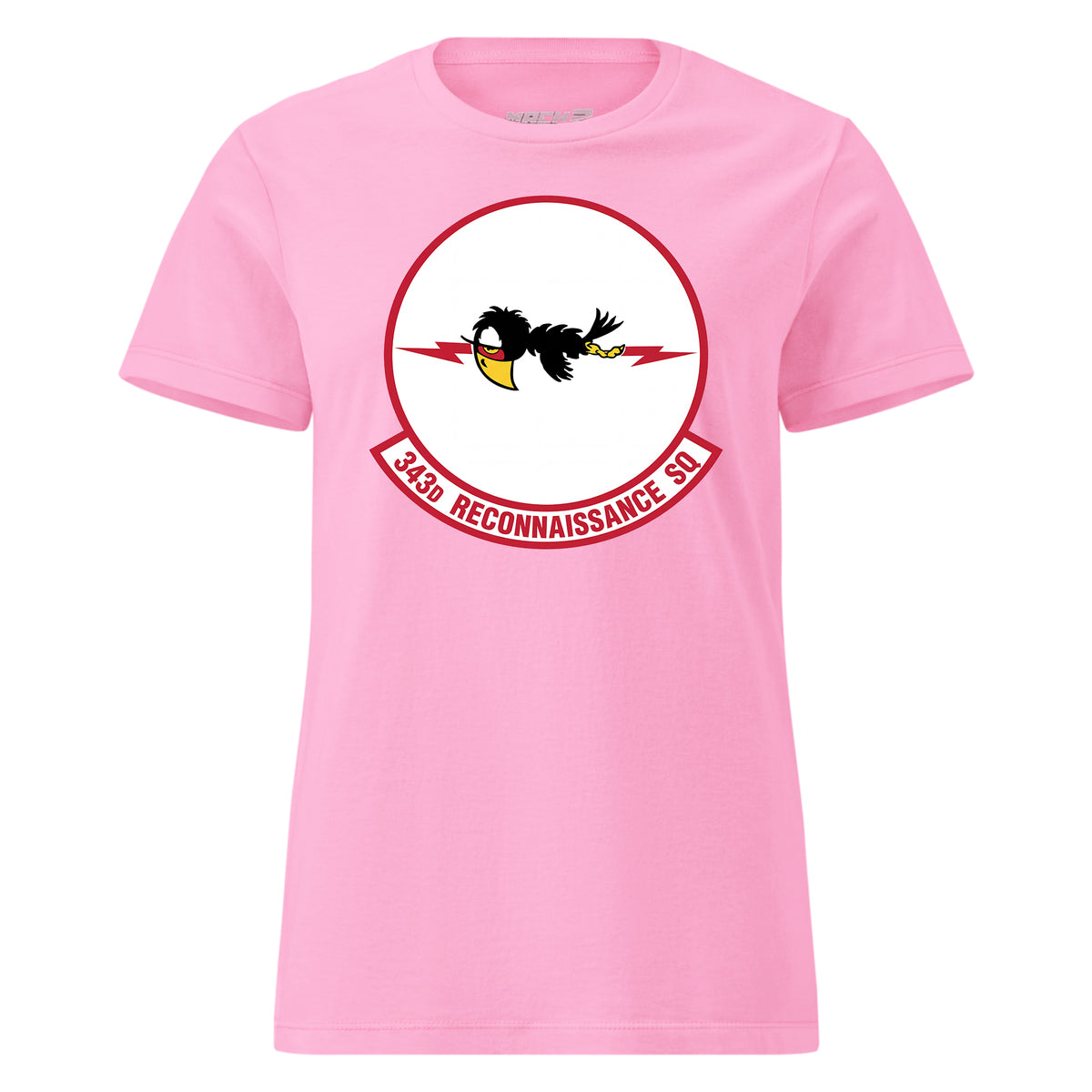 343rd Reconnaissance Squadron — Pink
