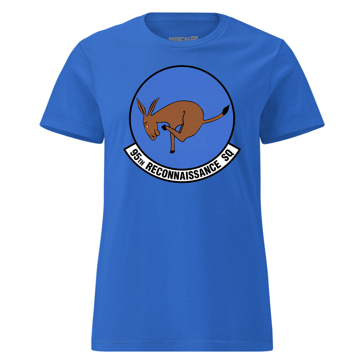 95th Reconnaissance Squadron — Royal