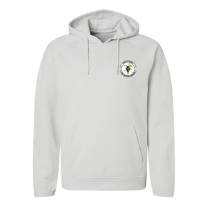 433rd Weapons Squadron — Silver