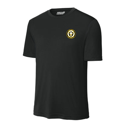 493rd Fighter Squadron — Black