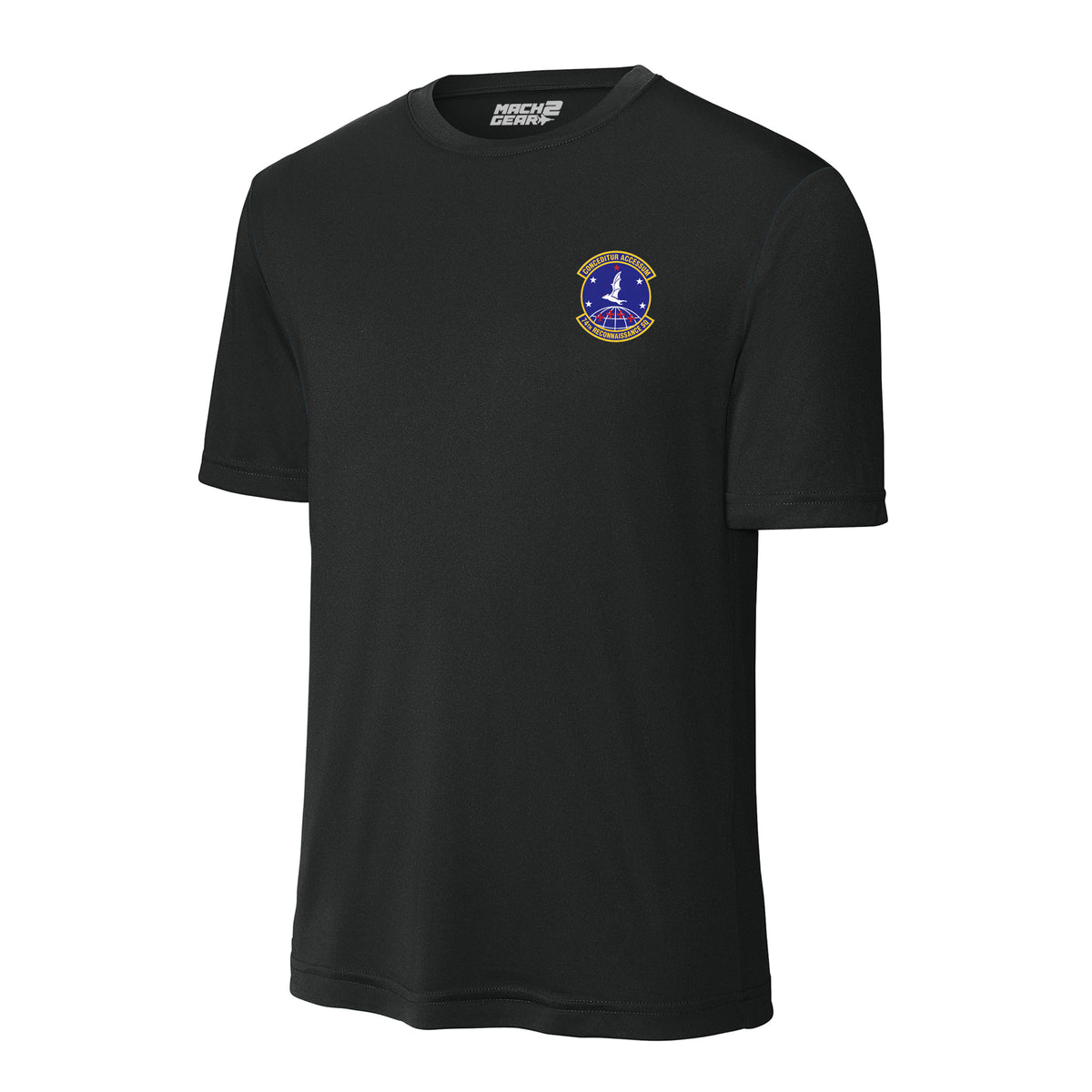 74th Reconnaissance Squadron — Black