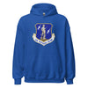 Air National Guard Hoodie - Royal